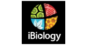 The 2019 Competition for the iBiology Young Scientist Seminars (YSS)