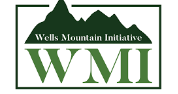 WMI Scholars Program 2019