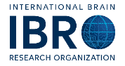 Applications Invited for IBRO Exchange Fellowships 2026