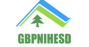 Senior Project Fellow