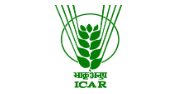 Junior Research Fellow
