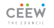 Programme Associate