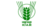 Young Professional-II XSM Division