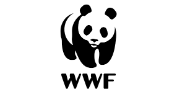 Senior Project Officer