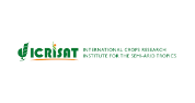 Research Program Director