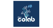 Research & Design Lead