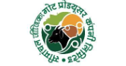 Chief Executive (CE)