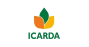 Senior Internal Auditor