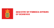Senior Strategic Communications and Cultural Affairs Advisor