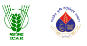 Junior Research Fellow