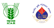 Senior Research Fellow