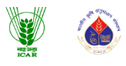 Junior Research Fellow 