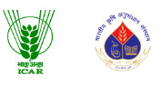 Senior Research Fellow 