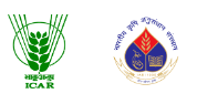 Senior Research Fellow 