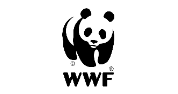 Lead –Programme Development, Advocacy & Partnerships