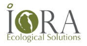 Research Associate – Nature Restoration and Conservation