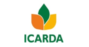Senior Internal Auditor