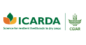 Senior Internal Auditor