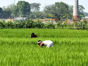UK, India experts explore smart tech solution for Indian farmers 
