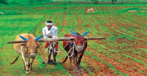 In a first, Kerala government to launch community radio to update farmers