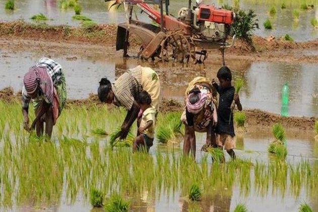 Fadnavis releases report on gender and water equality in agriculture