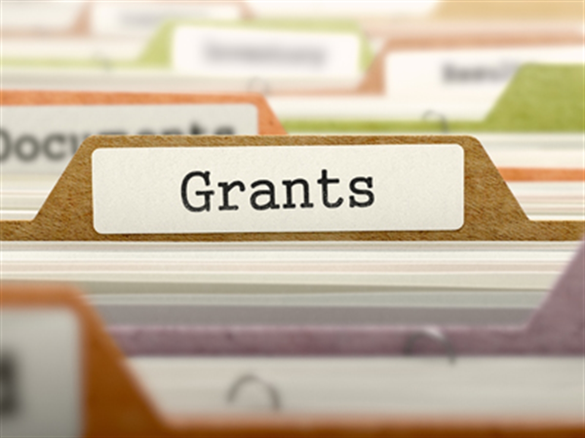 Top Grants to look forward to in the month of July 2020