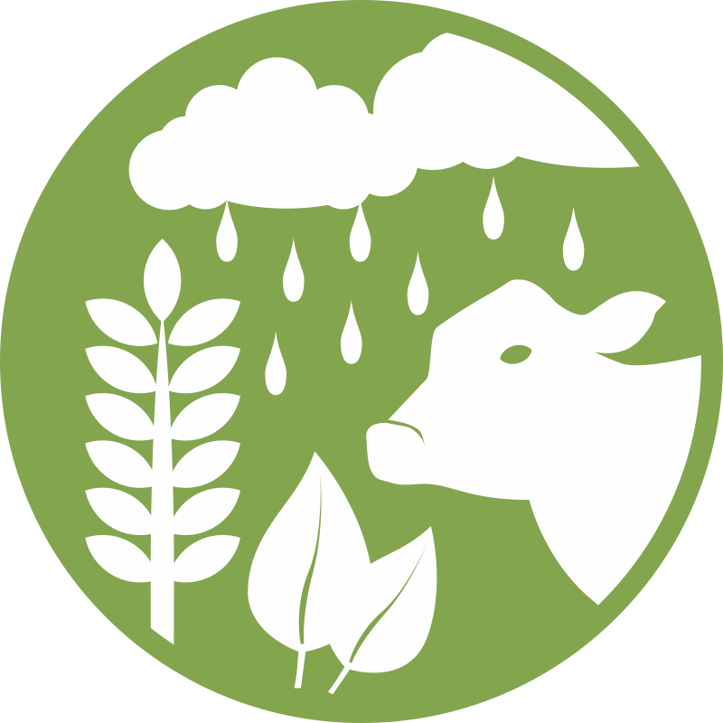 <p> </p>
<p><span style=