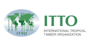 Applications Invited for  ITTO Fellowship Programme 