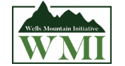Applications Invited for WMI Scholars Program 2022