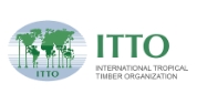 Applications Invited for ITTO Fellowship Programme