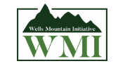 Applications Invited for WMI Scholars Program 2023 