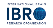 Applications Invited for IBRO Exchange Fellowships