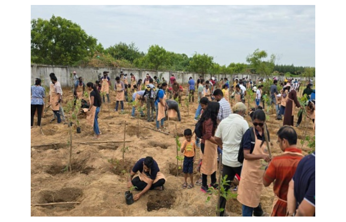 Thryve Digital's Tree Planting Initiative for a Greener Chennai