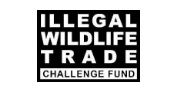 Applications Invited for Illegal Wildlife Trade Challenge Fund Grant 