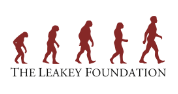 Applications Invited for Leakey Foundation Research Grant