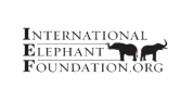 Applications Invited for Elephant Conservation and Research Funding Support Program