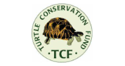 Applications Invited for Turtle Conservation Fund (TCF) Grant Program