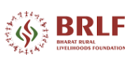 Proposal Submission for Internal Auditor Role at BRLF